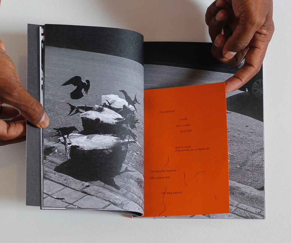 The glistening trail of a reticent snail